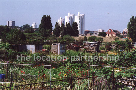 Allotments in SE London