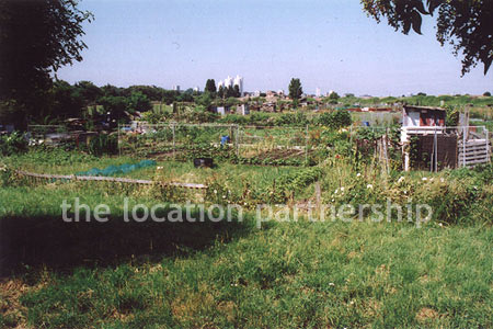 Allotments in SE London