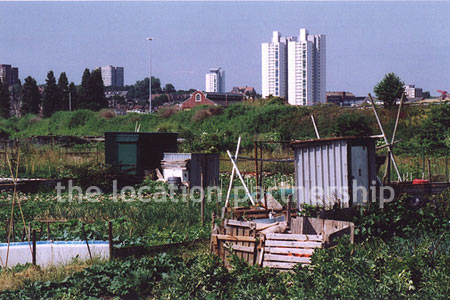 Allotments in SE London