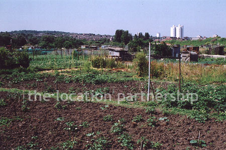 Allotments in SE London