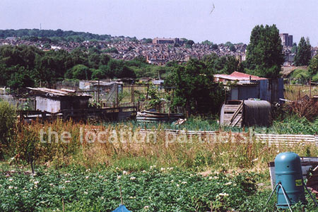 Allotments in SE London