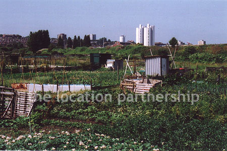 Allotments in SE London