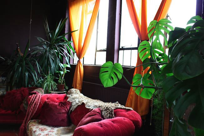 Warehouse conversion flat. Testament to the wonderful world of kitch!