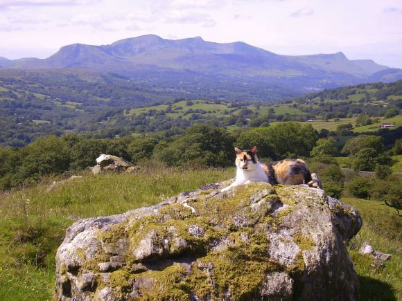 Traditional Welsh, working farmhouse with magnificent views.
