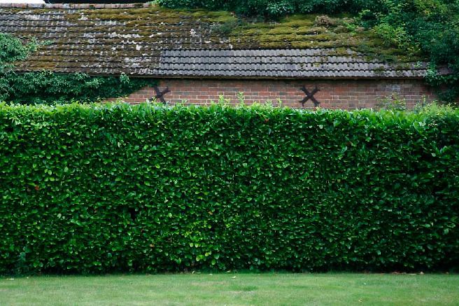 Characterful exterior and gardens of beautiful country house with treehouse, outbuildings, barns, swimming pool and tennis court.