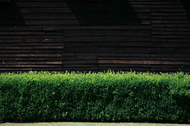 Characterful exterior and gardens of beautiful country house with treehouse, outbuildings, barns, swimming pool and tennis court.