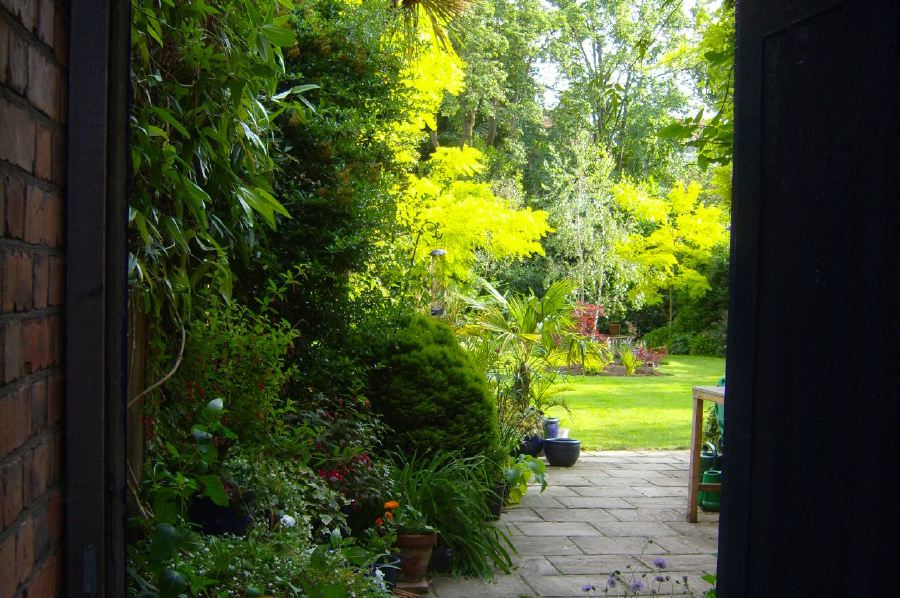 Lovely garden flat in a Victorian red brick house with a conservatory looking into a mature garden
