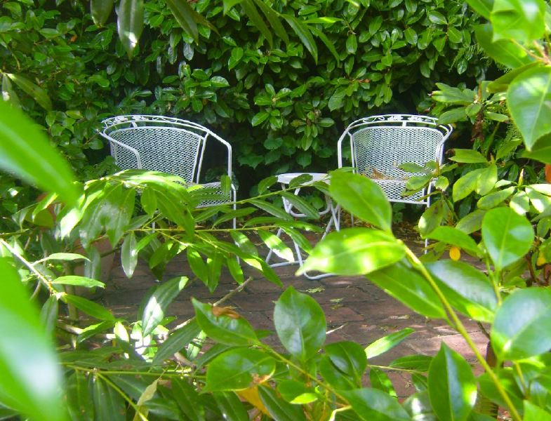 Lovely garden flat in a Victorian red brick house with a conservatory looking into a mature garden