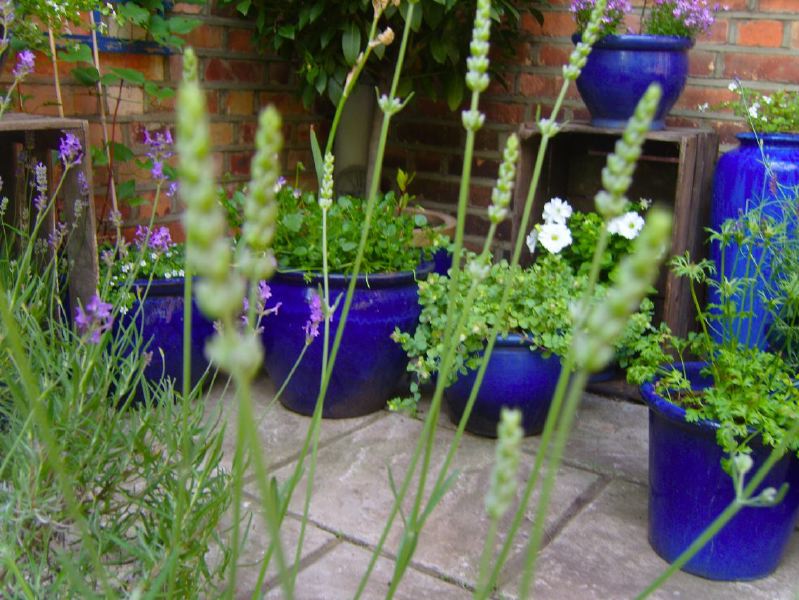 Lovely garden flat in a Victorian red brick house with a conservatory looking into a mature garden