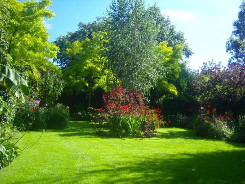 Lovely garden flat in a Victorian red brick house with a conservatory looking into a mature garden