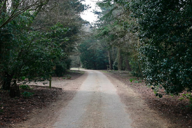 Large formal gardens, outbuildings and woodland at an amazingly eclectic country house.