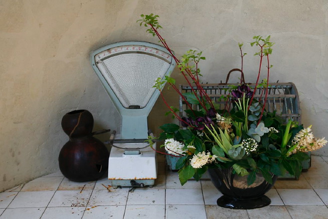 Large formal gardens, outbuildings and woodland at an amazingly eclectic country house.