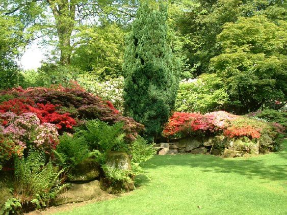 Twenty six acres of woodland garden with greenhouses, thatched folly, 2 ponds, sweeping lawns, large disused flint pit and many colourful plants.