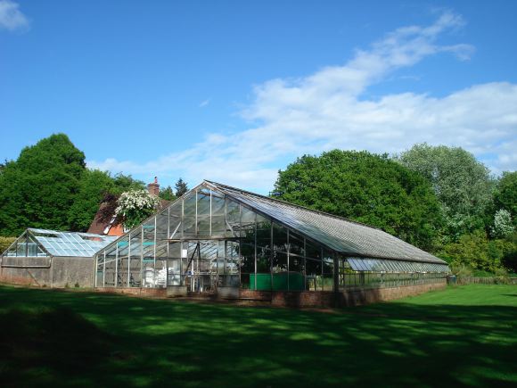 Twenty six acres of woodland garden with greenhouses, thatched folly, 2 ponds, sweeping lawns, large disused flint pit and many colourful plants.