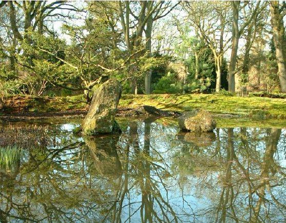 Twenty six acres of woodland garden with greenhouses, thatched folly, 2 ponds, sweeping lawns, large disused flint pit and many colourful plants.