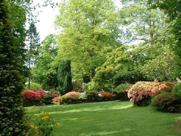 Twenty six acres of woodland garden with greenhouses, thatched folly, 2 ponds, sweeping lawns, large disused flint pit and many colourful plants.