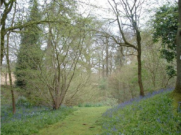 Twenty six acres of woodland garden with greenhouses, thatched folly, 2 ponds, sweeping lawns, large disused flint pit and many colourful plants.