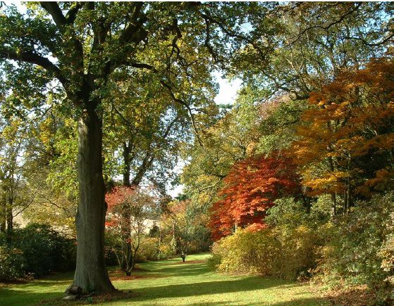 Twenty six acres of woodland garden with greenhouses, thatched folly, 2 ponds, sweeping lawns, large disused flint pit and many colourful plants.