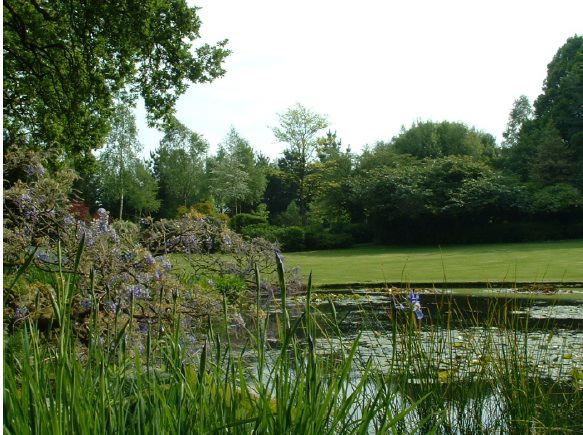 Twenty six acres of woodland garden with greenhouses, thatched folly, 2 ponds, sweeping lawns, large disused flint pit and many colourful plants.