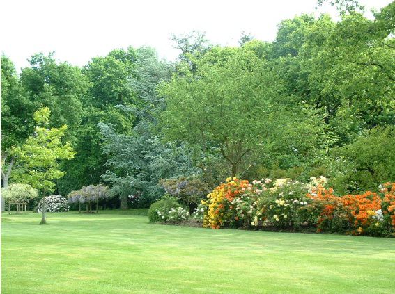 Twenty six acres of woodland garden with greenhouses, thatched folly, 2 ponds, sweeping lawns, large disused flint pit and many colourful plants.