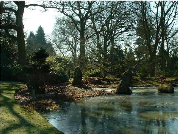 Twenty six acres of woodland garden with greenhouses, thatched folly, 2 ponds, sweeping lawns, large disused flint pit and many colourful plants.