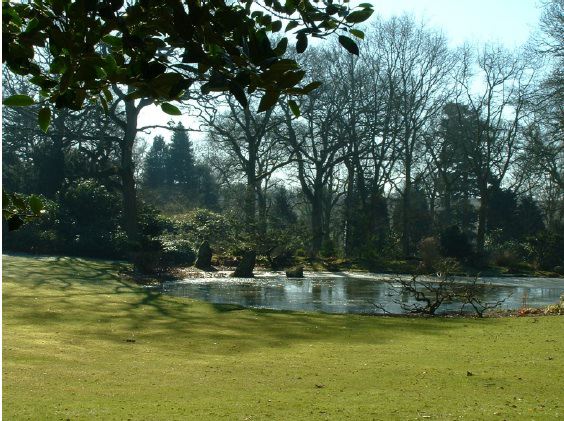 Twenty six acres of woodland garden with greenhouses, thatched folly, 2 ponds, sweeping lawns, large disused flint pit and many colourful plants.