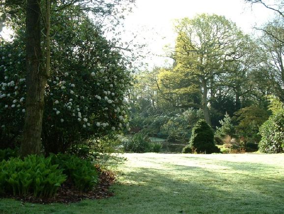 Twenty six acres of woodland garden with greenhouses, thatched folly, 2 ponds, sweeping lawns, large disused flint pit and many colourful plants.
