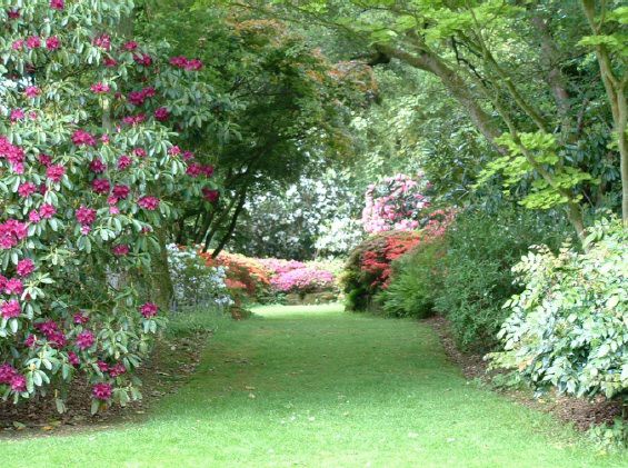 Twenty six acres of woodland garden with greenhouses, thatched folly, 2 ponds, sweeping lawns, large disused flint pit and many colourful plants.