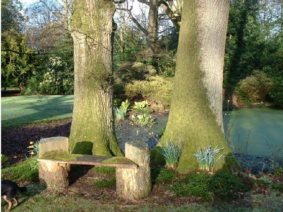 Twenty six acres of woodland garden with greenhouses, thatched folly, 2 ponds, sweeping lawns, large disused flint pit and many colourful plants.
