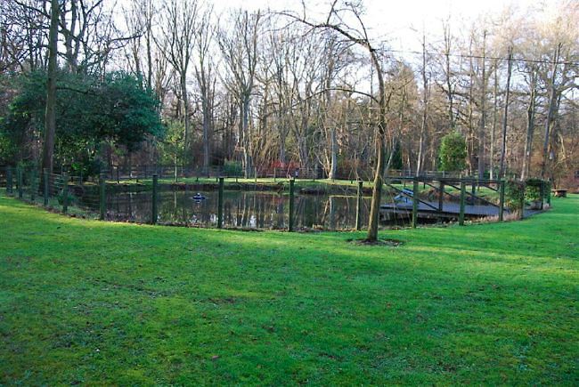 Country garden in woodland setting with a pond and children's play area.