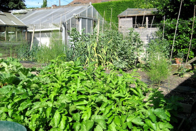 Amazing medieval hall house with beautiful country gardens, featuring vegetable garden and pond.