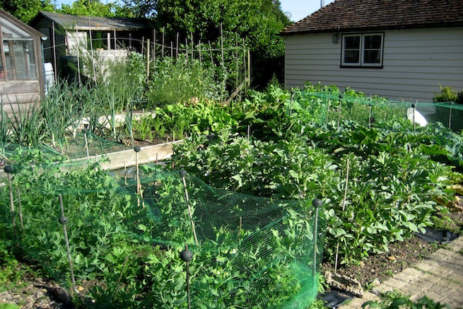 Amazing medieval hall house with beautiful country gardens, featuring vegetable garden and pond.
