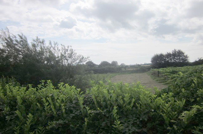 Country Cottage situated in the Suffolk countryside
