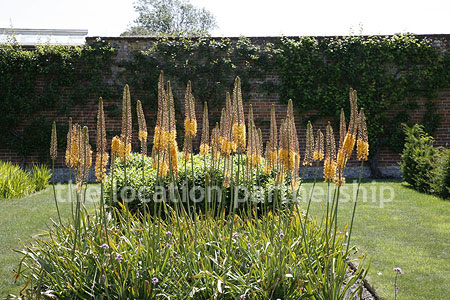 Walled flower and vegetable garden with variety of greenhouses