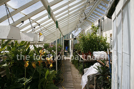 Walled flower and vegetable garden with variety of greenhouses