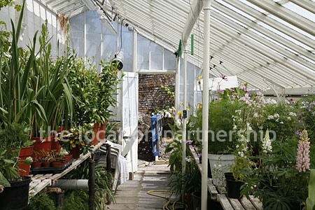Walled flower and vegetable garden with variety of greenhouses