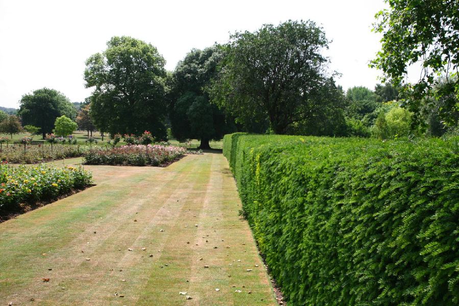 Topiary gardens, rose gardens, formal gardens and parkland around a Medieval Manor House