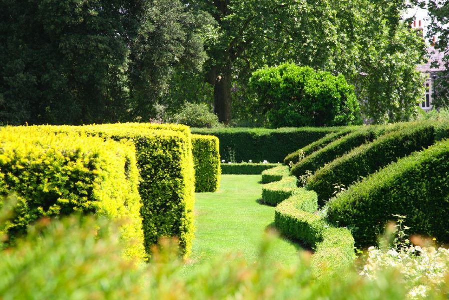 Topiary gardens, rose gardens, formal gardens and parkland around a Medieval Manor House