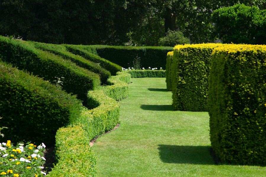Topiary gardens, rose gardens, formal gardens and parkland around a Medieval Manor House