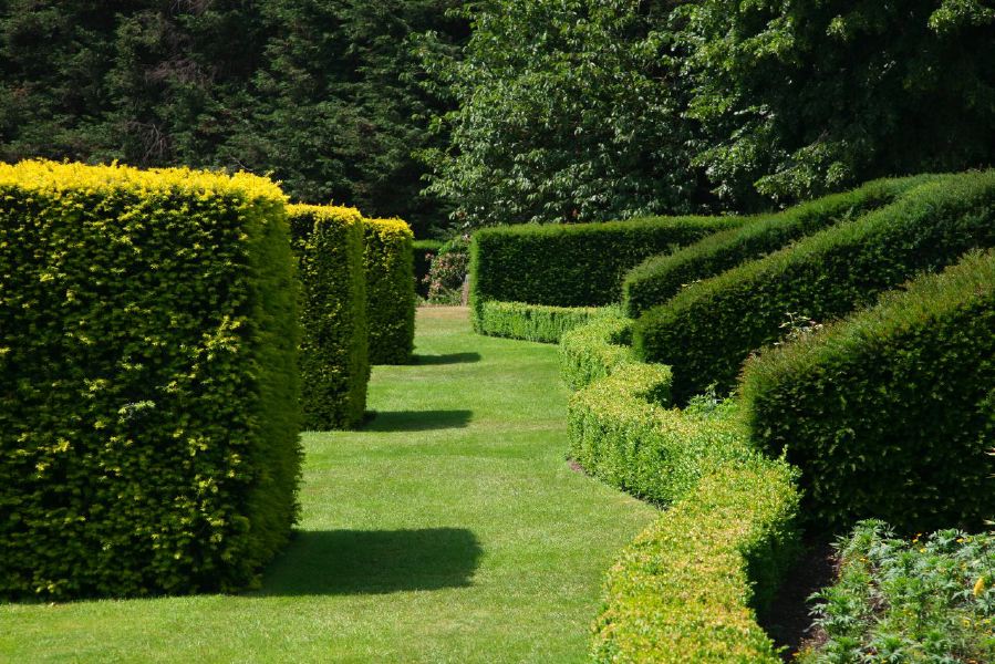 Topiary gardens, rose gardens, formal gardens and parkland around a Medieval Manor House