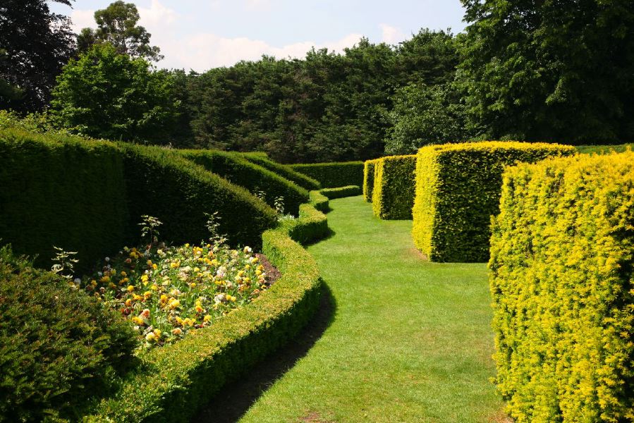 Topiary gardens, rose gardens, formal gardens and parkland around a Medieval Manor House