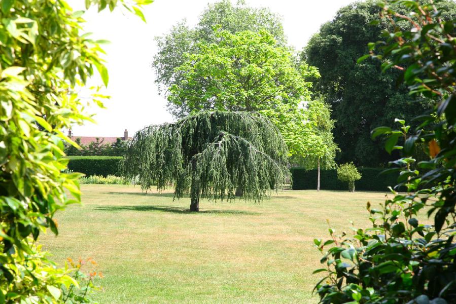 Topiary gardens, rose gardens, formal gardens and parkland around a Medieval Manor House