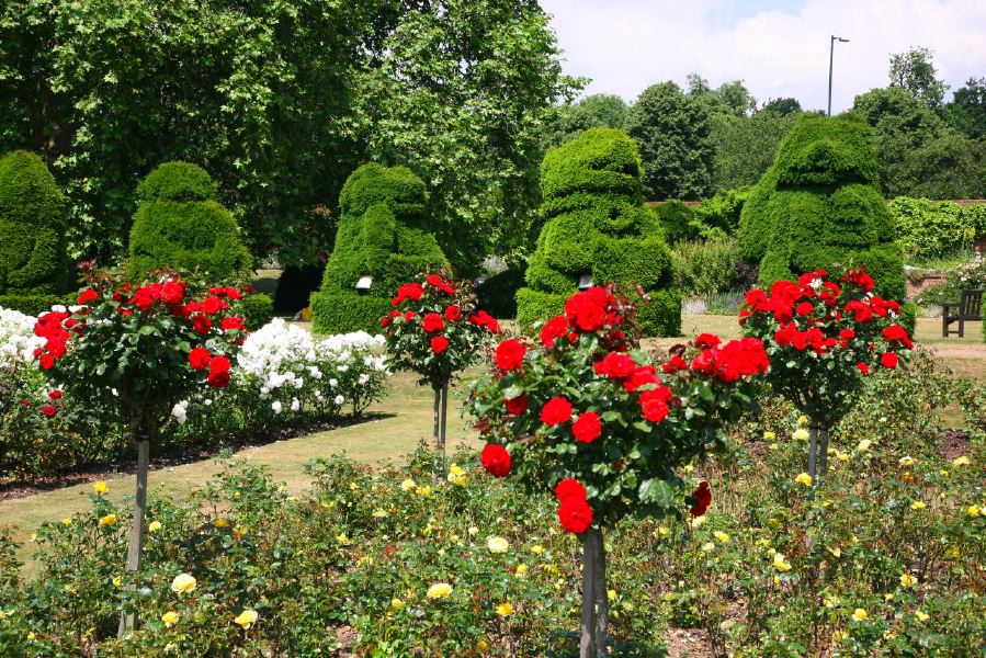 Topiary gardens, rose gardens, formal gardens and parkland around a Medieval Manor House