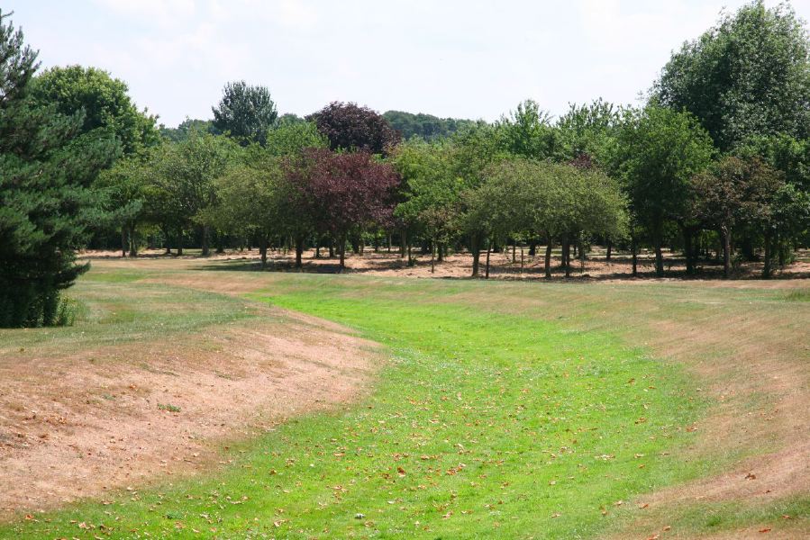 Topiary gardens, rose gardens, formal gardens and parkland around a Medieval Manor House