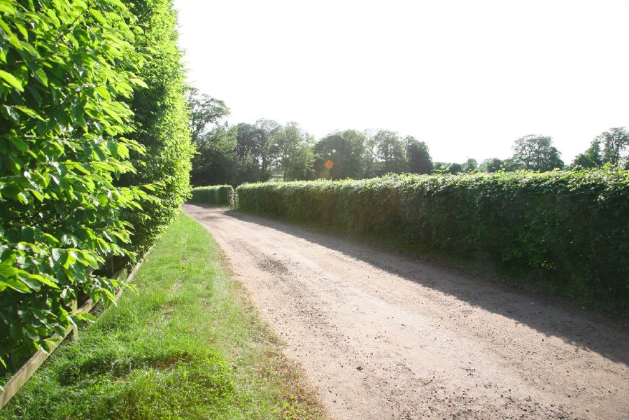 Gravel tracks lined with trees and hedges