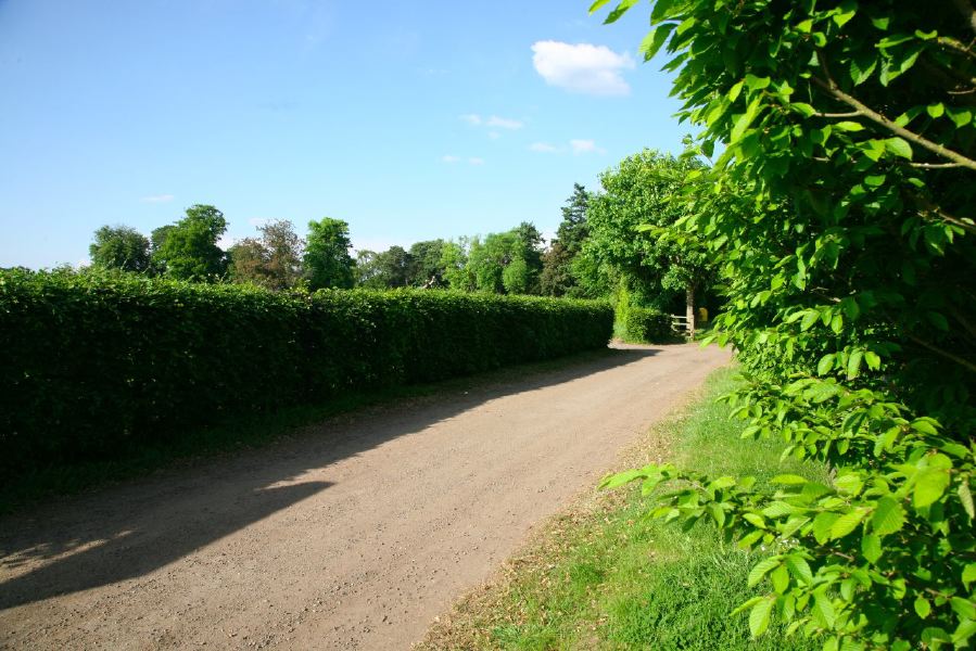 Gravel tracks lined with trees and hedges