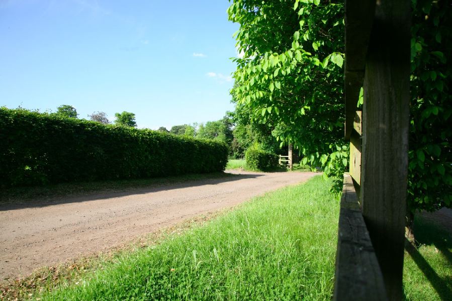 Gravel tracks lined with trees and hedges