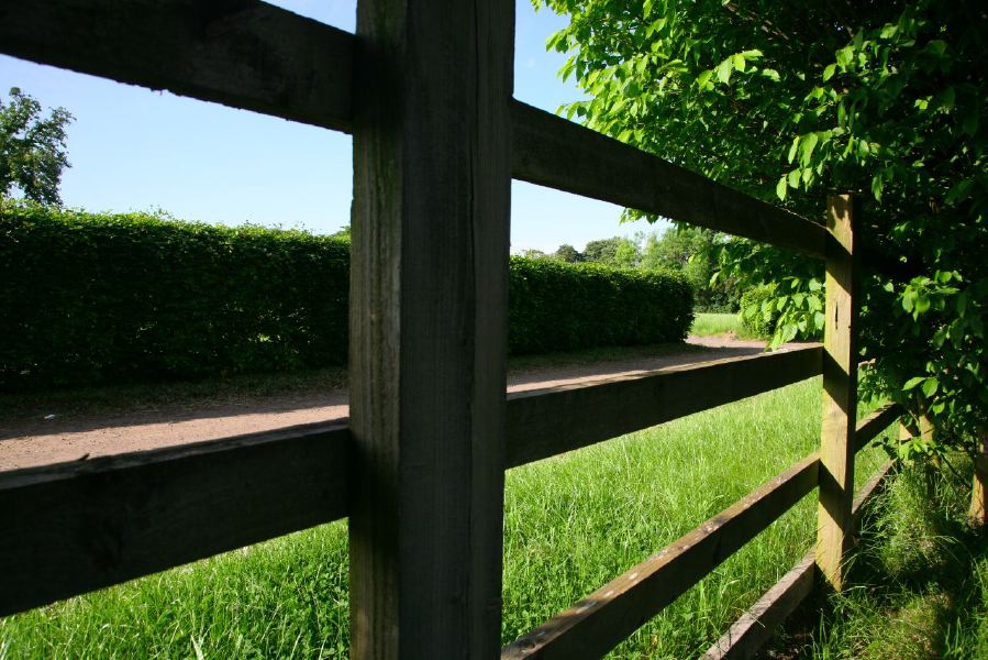 Gravel tracks lined with trees and hedges