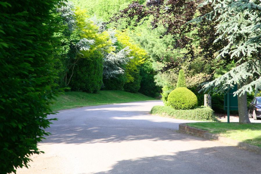 Gravel tracks lined with trees and hedges