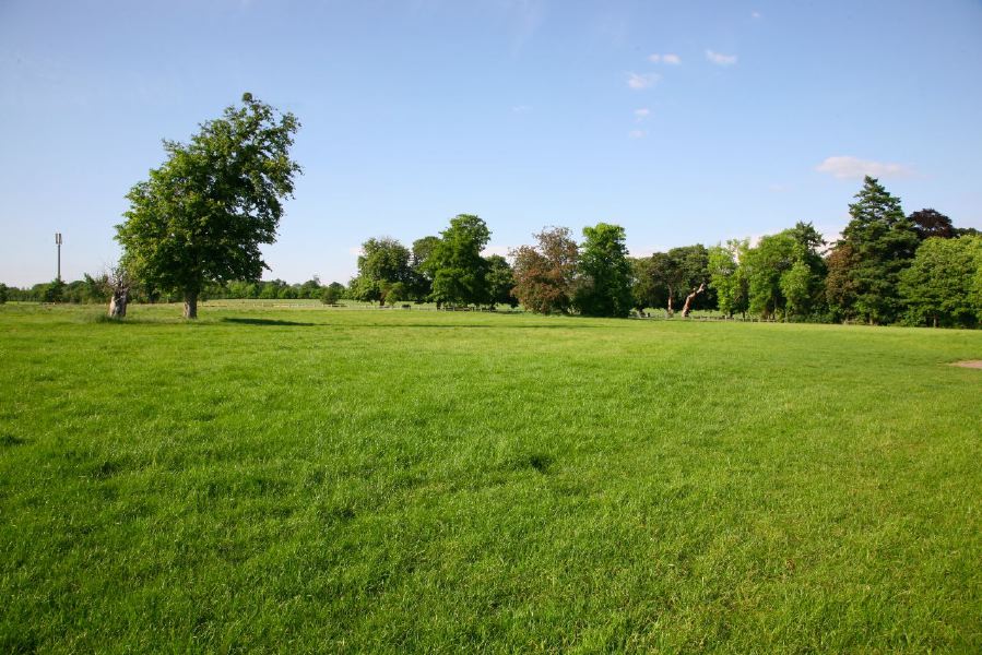 A flat field suitable for events and normally used as an overflow car park